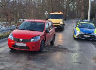 Dacia uderzyła w drzewo