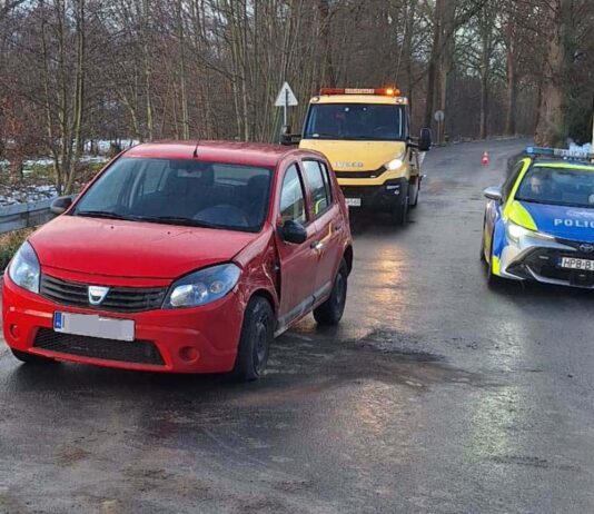 Dacia uderzyła w drzewo