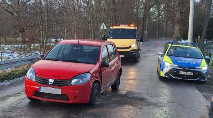 Dacia uderzyła w drzewo