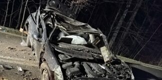 Dramat na drodze wojewódzkiej