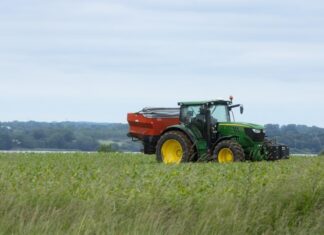 Dolistne wsparcie plonowania: jak biokomponenty i minerały wpływają na zawiązywanie i wzrost owoców