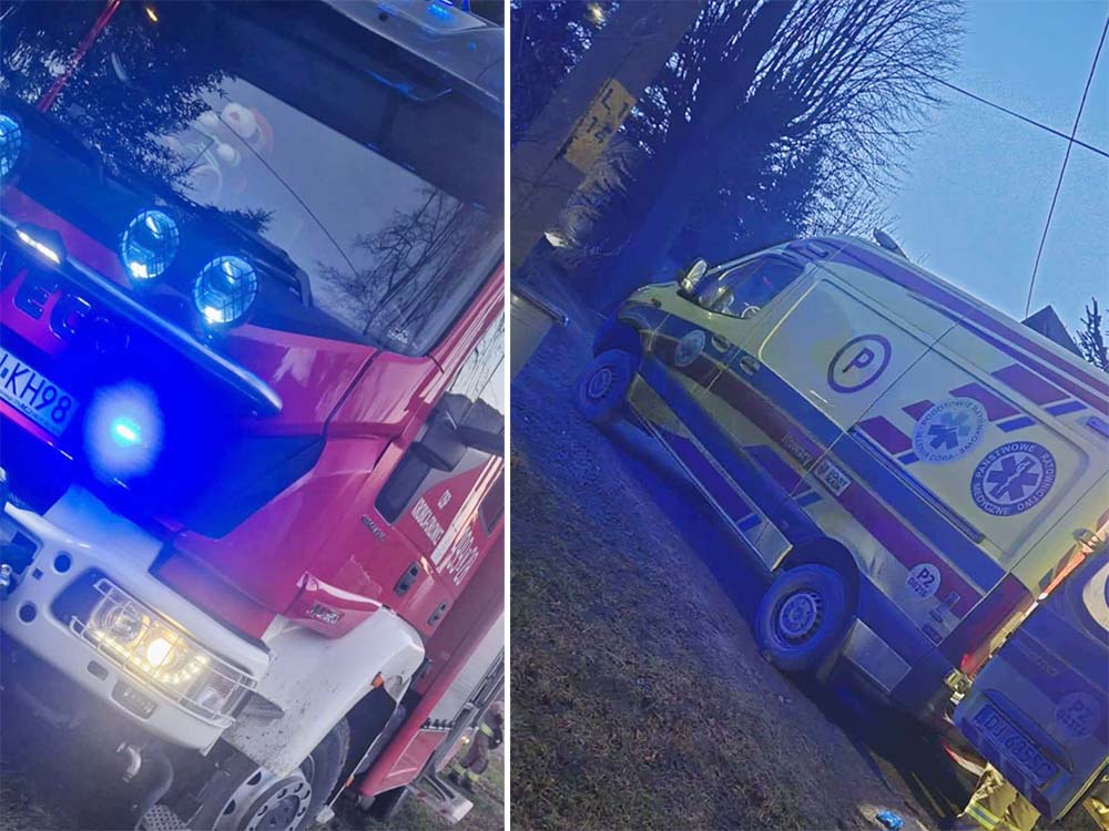 Wypadek w lesie. Drzewo przygniotło mężczyznę