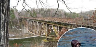 Kolejne skarby wydobyte z Jeziora Pilchowickiego