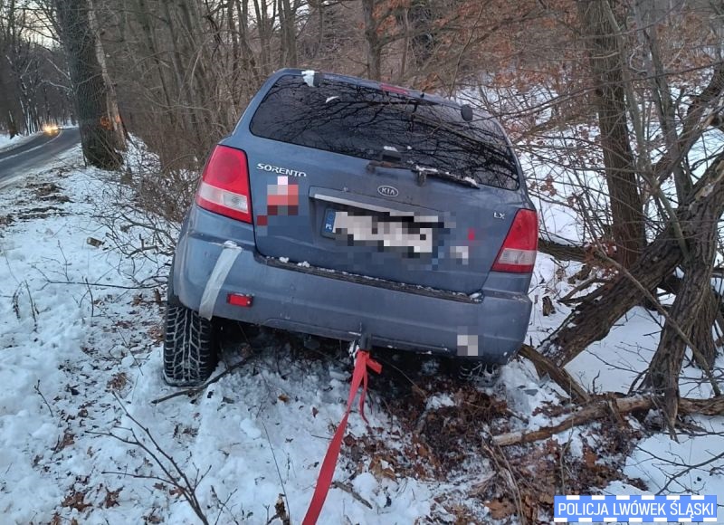 Samochód wypadł z drogi. Kierująca stanęła przed sądem
