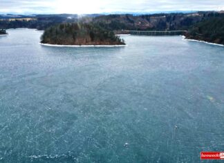 Trwa spuszczanie wody z Jeziora Pilchowickiego