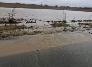 Stany ostrzegawcze na rzekach w regionie Stany ostrzegawcze na rzekach