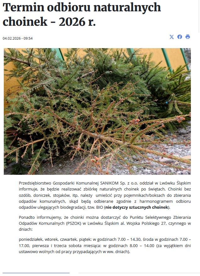 Lwówek Śląski publikuje komunikat o zbiórce naturalnych choinek