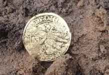 Znalazł skarby. Przekazał je do urzędu