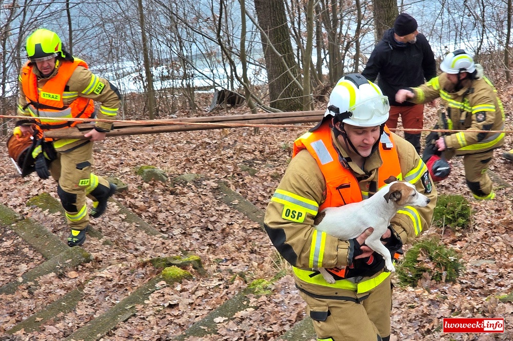 Strażacy uratowali psy