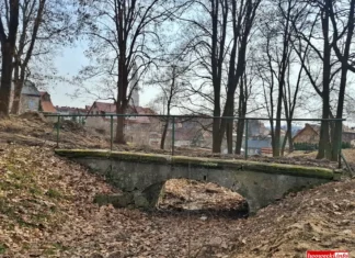 Trwa rewitalizacja parku miejskiego w Gryfowie Śląskim Gryfów rewitalizacja parku miejskiego