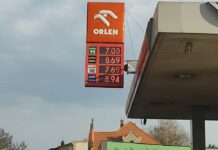 diesel ceny paliw