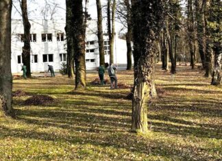 Osadzeni z Zakładu Karnego złapali za miotły i grabie osadzeni