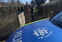 policjantki