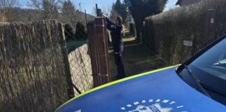 policjantki