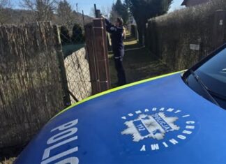 policjantki