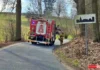 straż pożarna dworek drzewa
