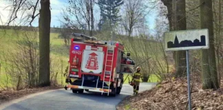 straż pożarna dworek drzewa