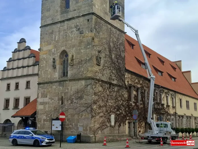 zabezpieczenie wieża ratusz w Lwówku Śląskim 2