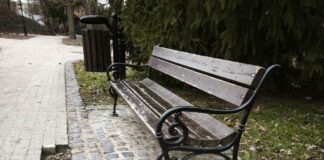 Spacerkiem po parku miejskim w Lwówku Śląskim parku miejskim w Lwówku Śląskim