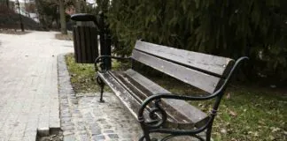 Spacerkiem po parku miejskim w Lwówku Śląskim parku miejskim w Lwówku Śląskim