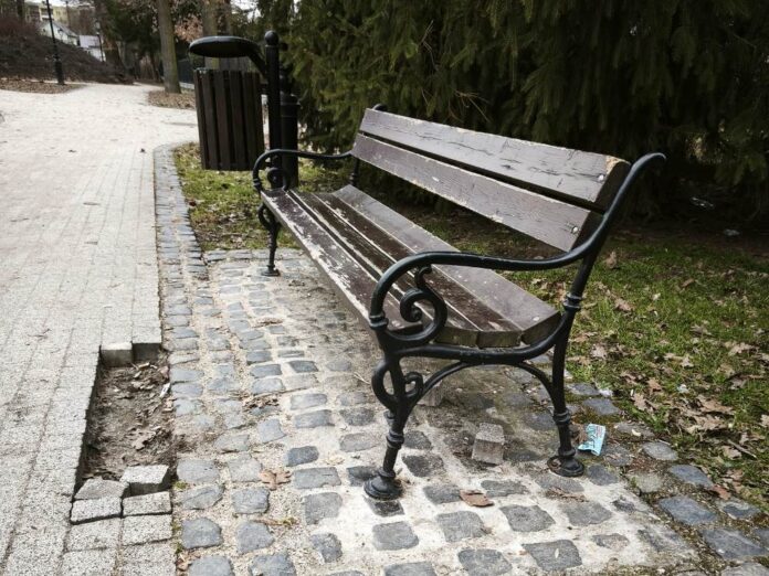 parku miejskim w Lwówku Śląskim