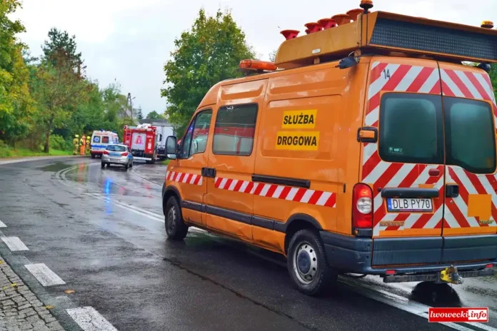 GDDKiA DK30 Chmieleń