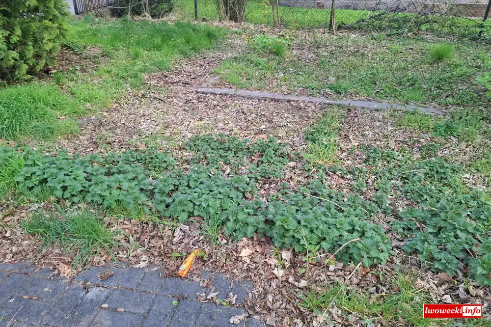 Lwowek Slaski Aleja Wojska Polskiego 3