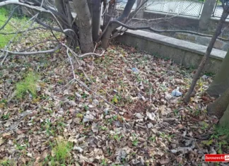 Lwówek Śląski – radna wnosi o porządki