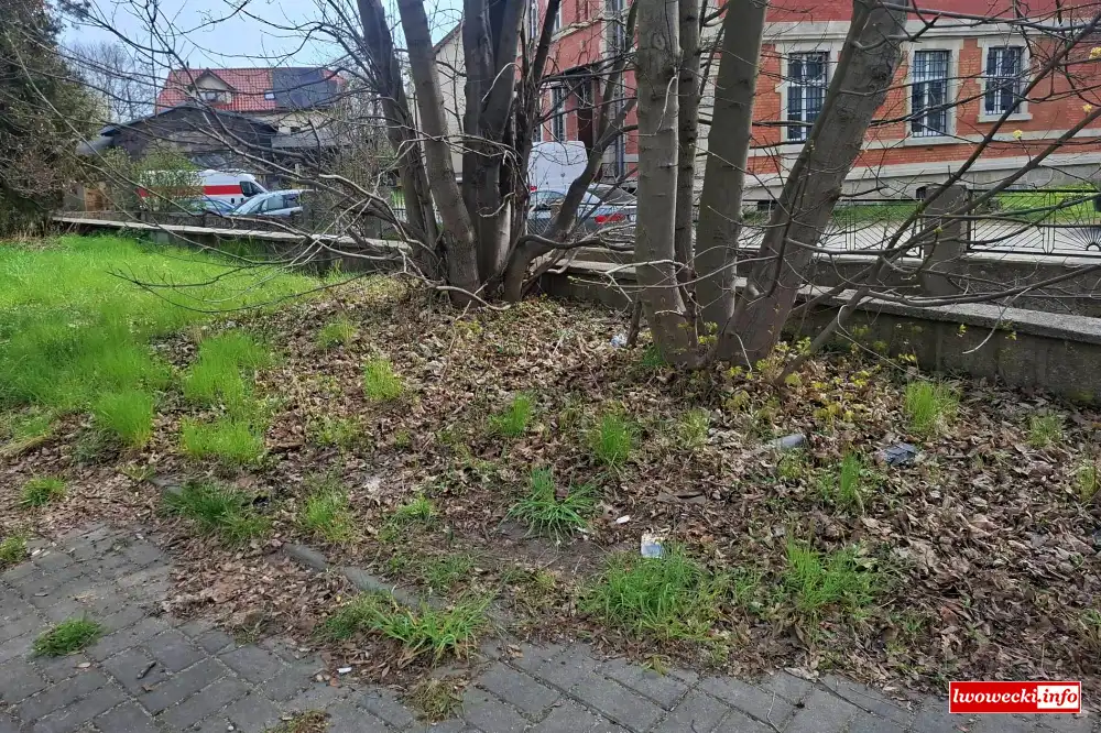 Lwowek Slaski Aleja Wojska Polskiego 7