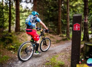Singletracki w Świeradowie‑Zdroju – rusza modernizacja Singletracki w Świeradowie‑Zdroju 2