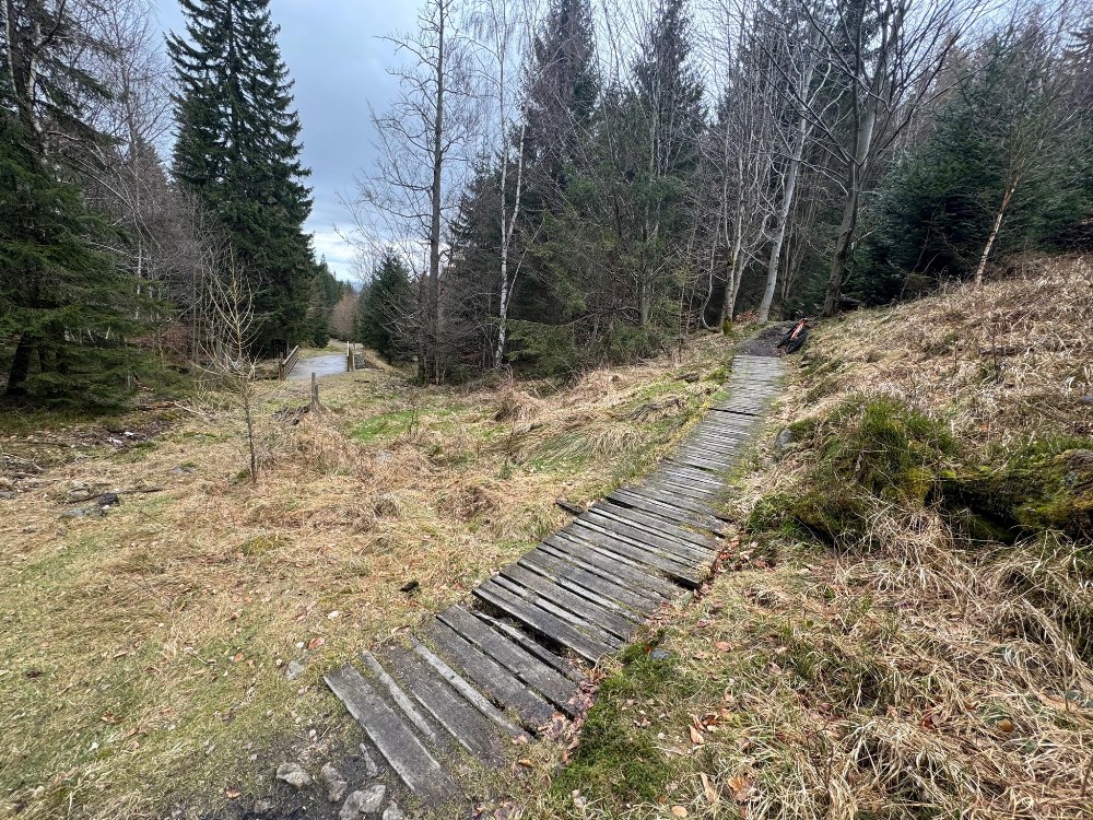 Singletracki w Swieradowie‑Zdroju 3