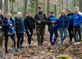 Pracownicy Wód Polskich sadzili drzewa Wody Polskie drzewa