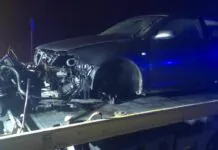audi wypadek drzewo silnik