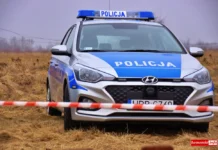 policja