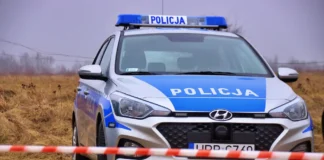 policja