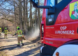 Ogień pojawił się znienacka. Na miejscu strażacy straż Lubomierz