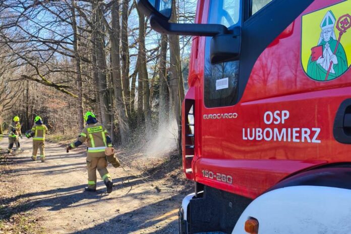 straż Lubomierz