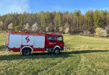pożar las Pławna straż 3