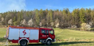 pożar las Pławna straż 3
