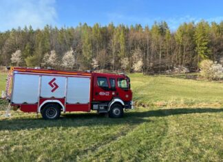 Strażacy o akcji gaśniczej pożar las Pławna straż 3