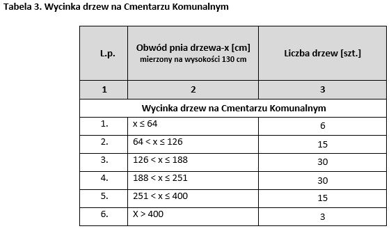Wielkie cięcie drzew w gminie Lwówek Śląski 2 wycinka drzew 2