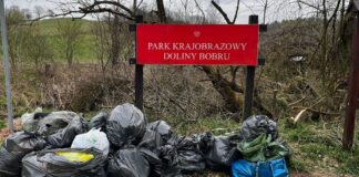Co oni zrobili? zadole lwówek śmieci