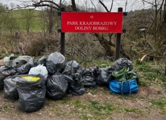 Co oni zrobili? zadole lwówek śmieci