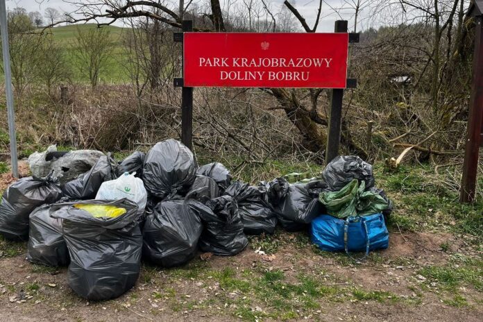 zadole lwówek śmieci