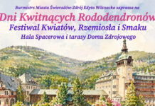 Dni Kwitnących Rododendronów - Świeradów-Zdrój