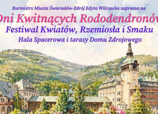 Dni Kwitnących Rododendronów - Świeradów-Zdrój