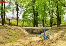park miejski w Gryfowie Śląskim