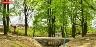 park miejski w Gryfowie Śląskim