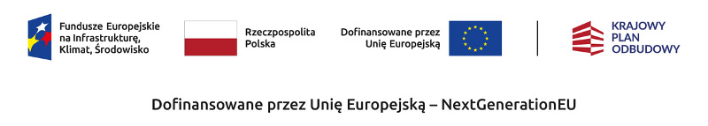 Kopciuchy trują nie tylko zimą 2 logo nfosigw 1