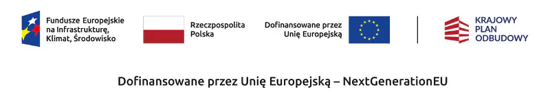 Kopciuchy trują nie tylko zimą 2 logo nfosigw 1